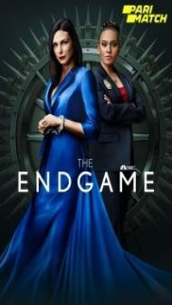 The Endgame (2022) Web Series