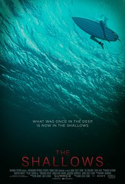The Shallows 2016 HD Bluray 720p Hindi Eng Hdmovie Hollywood Dubbed movie download