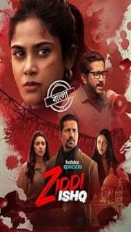 Ziddi Ishq (2025) S01 Hindi Series