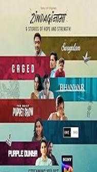 Zindaginama (2024) S01 Hindi Series