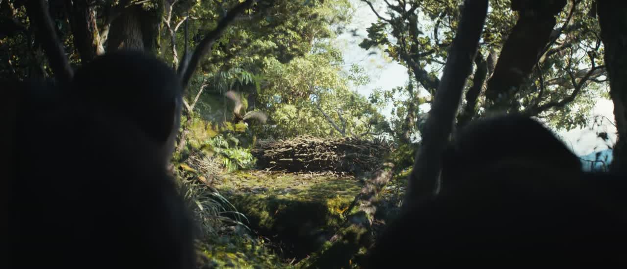 Kingdom of the Planet of the Apes 2024