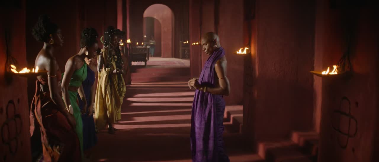 The Woman King 2022 Dubbed in Hindi