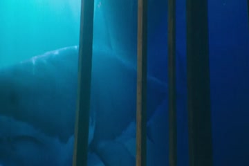 47 Meters Down 2017 in English