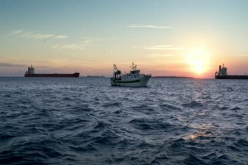 6 Underground 2019 Dubb in Hindi