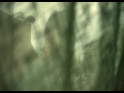 A Day and a Half 2023 in Hindi Dubb