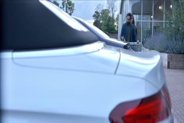 Adam Joan 2017 in Hindi