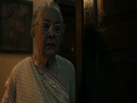 Ae Watan Mere Watan 2024 Hindi