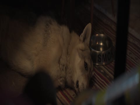 Afterburn 2025 in Hindi Dubb