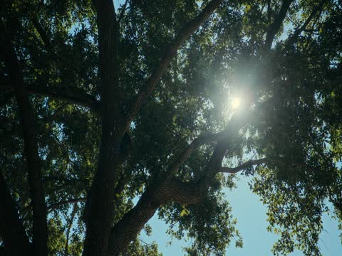 Air Force Elite Thunderbirds 2025 in Hindi Dubb