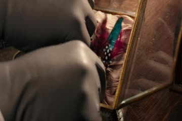 Alice Through the Looking Glass 2016