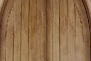 Alice Through the Looking Glass 2016