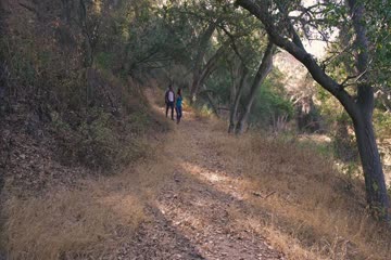 Alpha Wolf 2018 dubb in Hindi