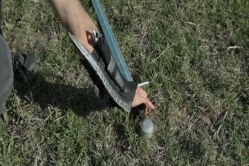 Ancestral World 2020 dubb in Hindi