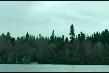 Angel Has Fallen 2019 dubb in hindi