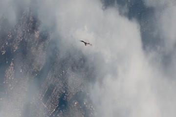 Avengers Endgame 2019 dubb in Hindi