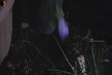 Azem 4 Alacakaranlik 2016 in Hindi Dubb