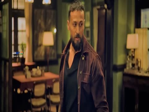Baaghi 4 2025 Hindi