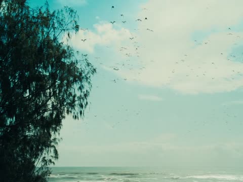 Bait 2012 in Hindi dubb