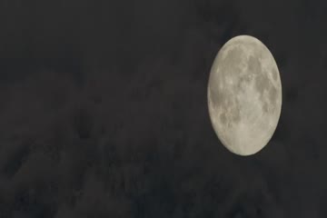 Baltic Tribes 2018 dubb in hindi