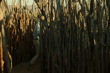 Beast 2022 Dubb in Hindi