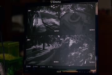 Bird Box 2018 in Hindi Bubbed