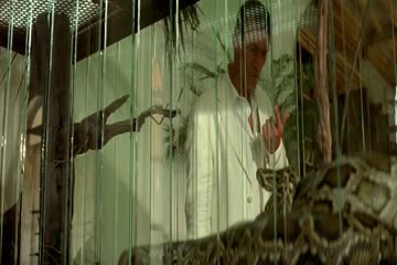 Black 2009 in Hindi dubb