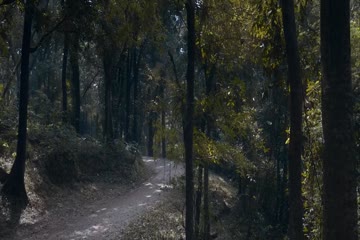 Captain 2022 in Hindi