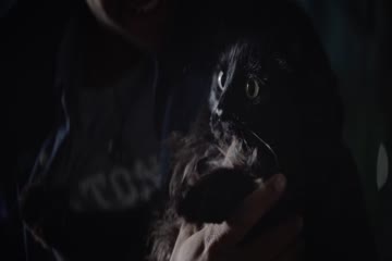 Color Out of Space 2019 Dubb on Hindi