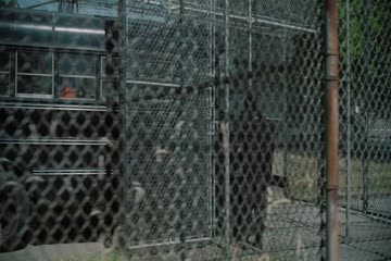 Corrective Measures 2022 dubbed in Hindi