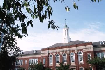 Dark Iris 2018 in Hindi Dubb