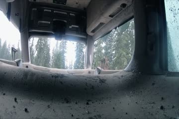 Daughter of the Wolf 2019 hindi dubb