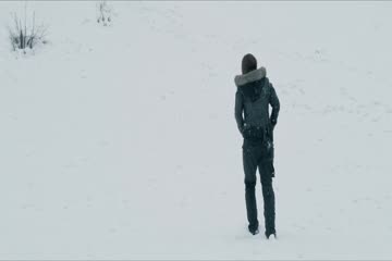 Daughter of the Wolf 2019 hindi dubb