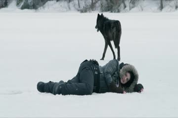 Daughter of the Wolf 2019 hindi dubb