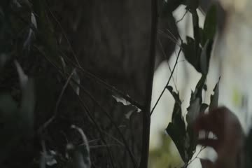 Dear Evan Hansen 2021 Dubbed in Hindi