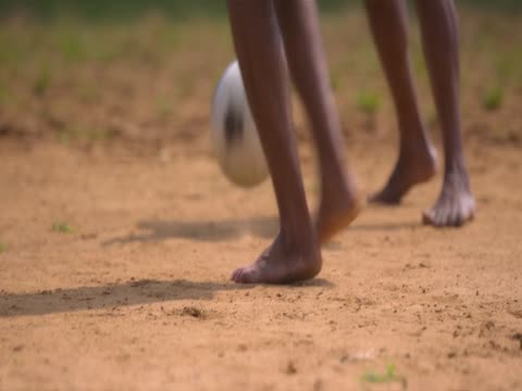 Detective Ujjwalan 2025