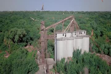 Dinosaur World 2020 in Hindi Dubb