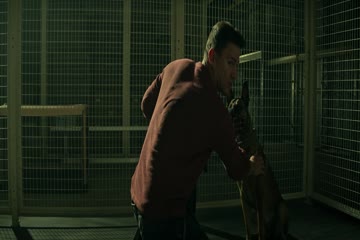 Dog 2022 Dubbed in Hindi