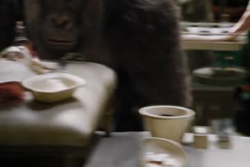 Dolittle 2020 Dubb in Hindi