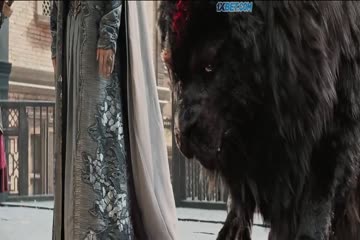 Double World 2019 in Hindi