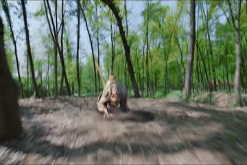 East Dragon 2018 Hd Dubb in Hindi