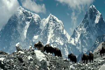 Everest 2015 Blueray