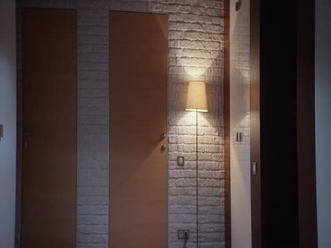 Ex 2021 Dubbed Hindi