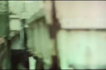 Flight 2021 in Hindi Dubbed