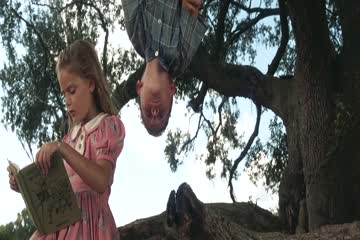 Forrest Gump 1994 Dubbed in Hindi