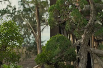 Gemini Man 2019 in English