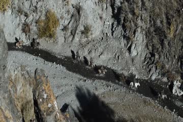 Genghis The Legend of the Ten 2012 Brip dubb in hindi