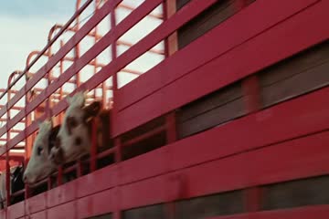 Ghost Rider 2007 Dubbed in Hindhi