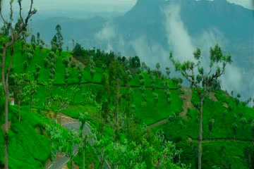 Golmaal Again 2017