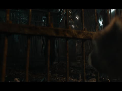 Guardians of the Galaxy Vol 3 2023 Dubb in Hindi