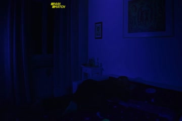 Guest House 2020 in Hindi Dubb